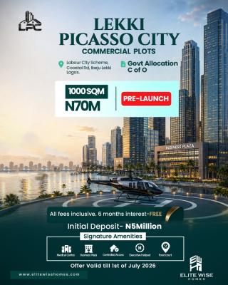 Government Allocation C of O Commercial Estate