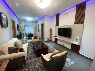 Fully Furnished, Luxury 1 Bedroom Apartment