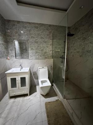 Furnished and Serviced 2 Bedrooms Apartment
