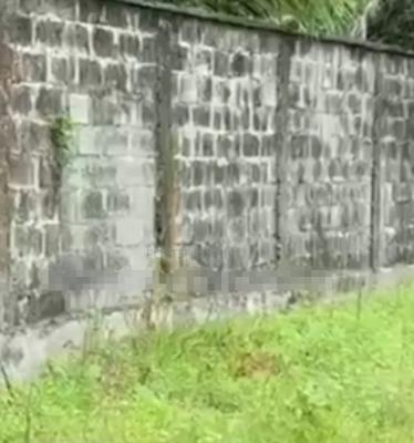 1000SQM of Land