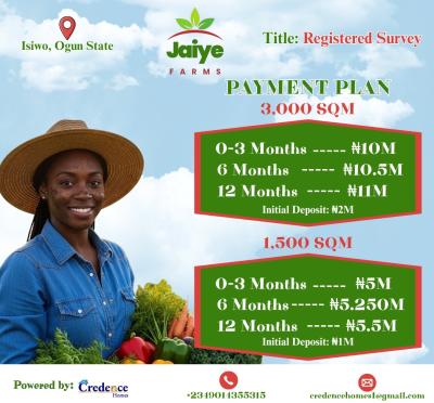 Own a Plot at Jaiye Farm and Farm Your Desired Seeds