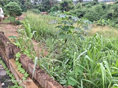 958SQM of Land