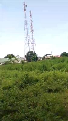 1.3 Hectares, Commercial, Fcda C of O