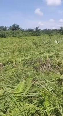 Affordable 2 Solid Virgin Plot of Land with 3 Documents