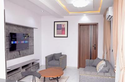 Fully Furnished and Serviced 2 Bedroom Flat