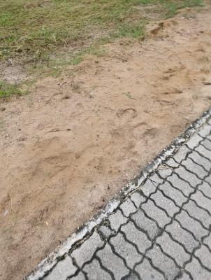 2100 SQM Plot with State Title