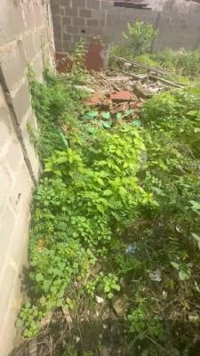 Affordable 140 SQM Quarter Plot of Land with Survey