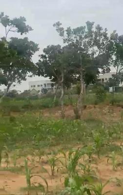 655SQM, Residential, C of O