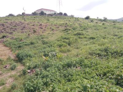 One Hectare Estate Land