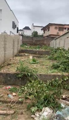 Half Plot of Land