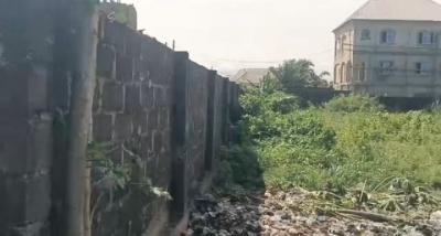 2 Plots of Land Measuring 1, 206SQM [side by Side]