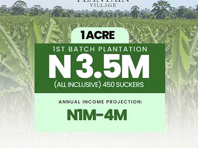Own a Plantain Farm and Earn Yearly From It