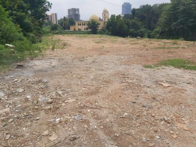 1.2 Hectares Garden Central Area