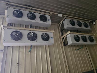 400SQM Cold Room Warehouse