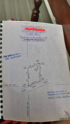 Sweet Joint Venture (JV) Proposal