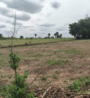 C of O Estate Land