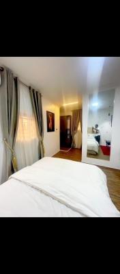 Fully Serviced and Furnished Mini Flat