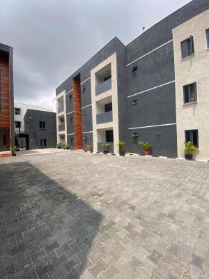 2 Bedroom Fully Furnished Apartment