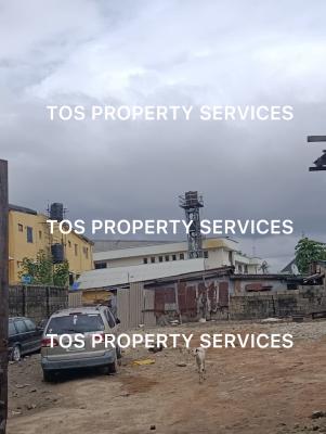 Vacant Full Plot of Land in an Estate