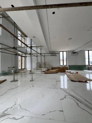 Extravagant 5 Bedroom Detached Duplex, Cinema, Rooftop Terrace, Elevator — Banana Island, Ikoyi, Lagos