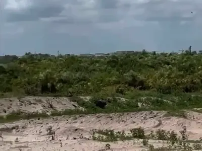 50 Hectares (500, 000 SQM / 125 Acres