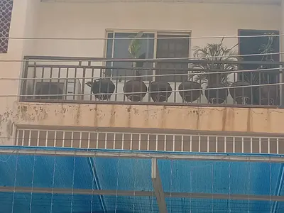 3-Bedroom Apartment