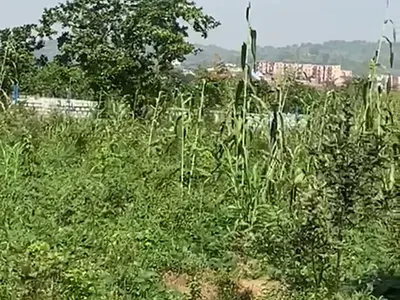 1, 524.17 SQM of Land