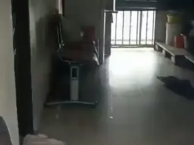 Open Plan Space, Alone Bungalow