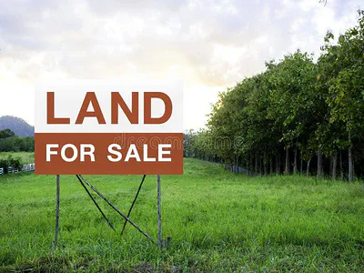 169 Plots at Highly Competitive Rate Each