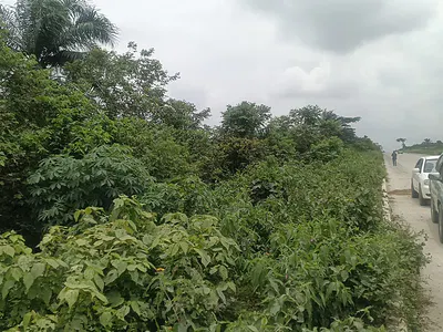 Directly Facing Express Land Measuring 14 Plots — Ala, Odogbolu, Ogun