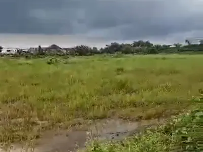 40 Plots of Land