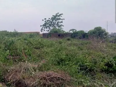 656SQM of Bareland