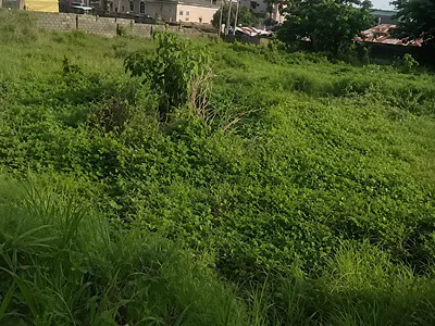 1700SQM, Commercial, C of O