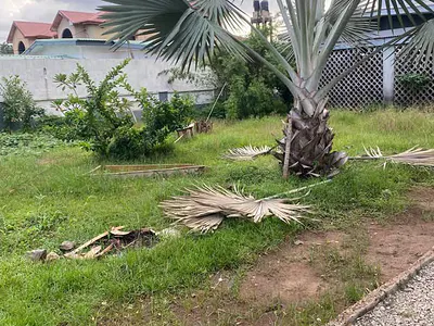 One and Half Plots of Land