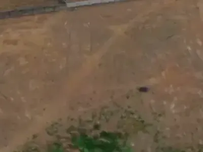 84 Hectares of Land