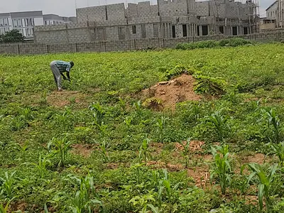 A Plot of Land Available