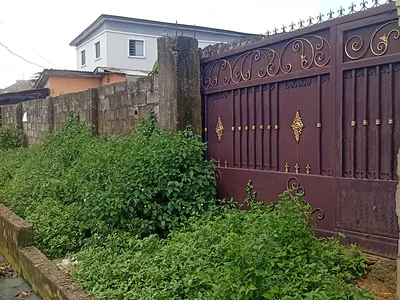 More Than a Plot of Land