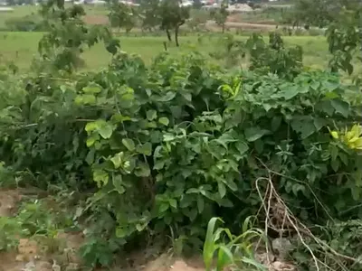 3.2 Hectares Land in Idu Cadastral District, Abuja