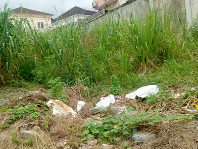 Bare Land 568SQM — Magodo Brooks, Magodo, Lagos