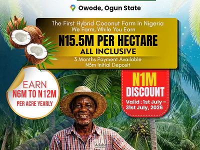 Get High Returns on Investment with Adaba Farm