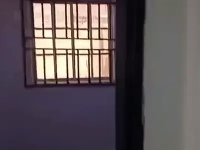 Newly Renovated One Bedroom Apartment