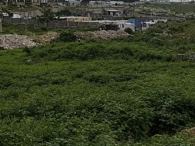 1981SQM, Residential, C of O