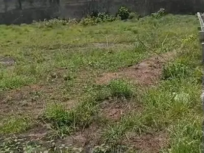 Buy and Build Dry Land Inside Estate