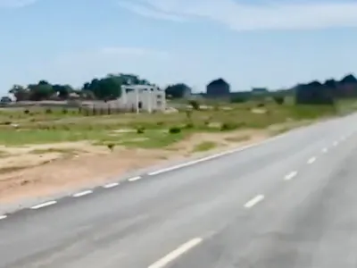 Serial Plots of 100 Hectares Each: Fastest Investors