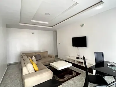 Furnished 2 Bedroom Apartment