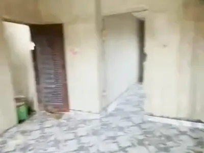 A Decent Lovely Mini Flat