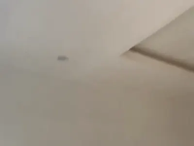 A Decent Newly Built Mini Flat