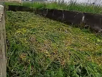 2 Plots of Bareland