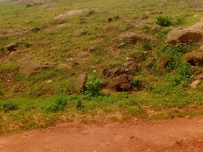 170SQM of Estate Plot in Apo Wasa
