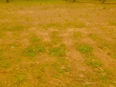 150SQM of Estate Plot
